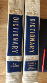 The New Webster Dictionary Of The English Language