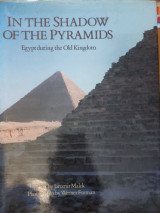 In the Shadow of the Pyramids