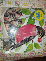 The bird book