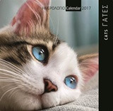 Γάτες - Cats: Ημερολόγιο τοίχου 2017