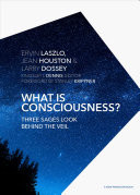 What Is Consciousness?