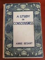 A Study in Consciousness
