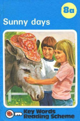 Sunny days 8a key words reading scheme