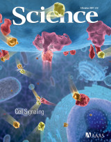Science, Volume 318, No.5847, 5 Oκτωβρίου 2007