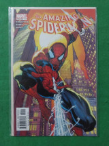 Amazing Spider-man 491