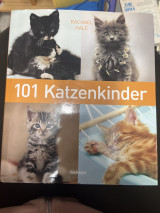 101 Katzenkinder