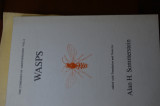 Wasps