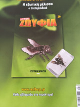 Αληθινά Ζωύφια - Τευχος 26 Εξωτική Μέλισσα