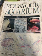 You and your aquarium