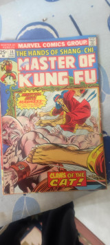 Master of kung fu 38