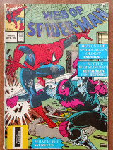 Web of spiderman 581