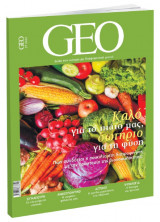 Geo 07.2020