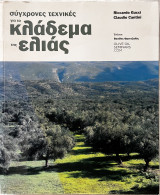 Σύγχρονες τεχνικές για το κλάδεμα της ελιάς