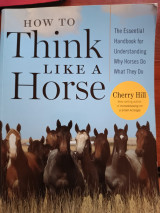 How to Think Like A Horse