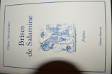Brises de Salamine