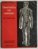 Σωματολογία του ανθρώπου μετά στοιχείων υγιεινής.