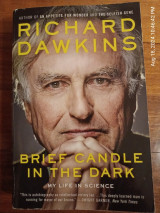 Brief candle in the dark