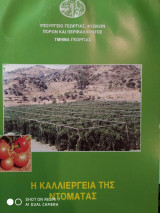 Η καλλιέργεια της ντομάτας