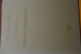 Papiri e papirologia
