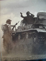 The war in the desert, World War II