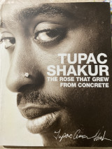 The Rose that Grew from Concrete
