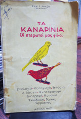 Τα καναρίνια, οι πτερωτοί μας φίλοι