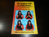 The Symptom Path to Enlightenment : The New Dynamics of Self-Organization in Hypnotherapy : An Advanced Manual for Beginners