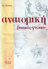 Ανατομική (Βασικές Γνώσεις): Βασικές γνώσεις