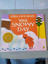 The snowy day