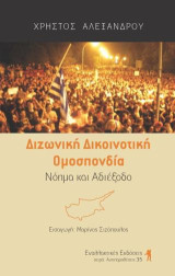 Διζωνική – Δικοινοτική Ομοσπονδία, Νόημα και Αδιέξοδο