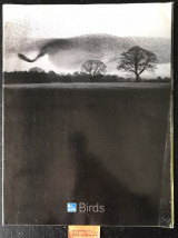 Birds Volume 22 No 6. Salholme brave new world. Love nature. The Thames a turning tide. Birds and banter
