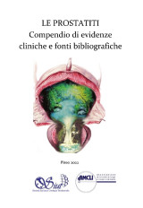 Le prostatiti: compendio di evidenze cliniche e fonti bibliografiche